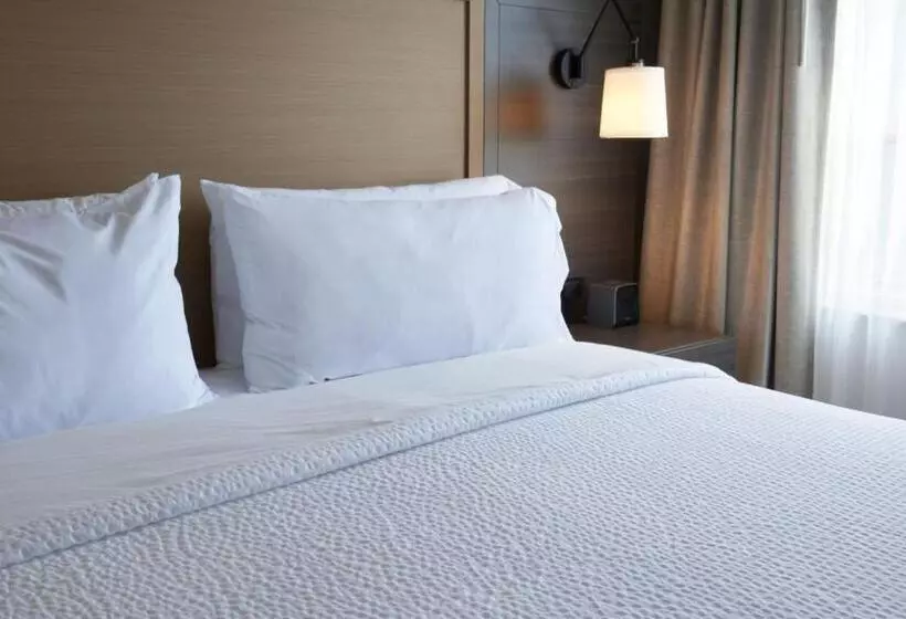 酒店 Holiday Inn & Suites Ottawa Kanata, An Ihg