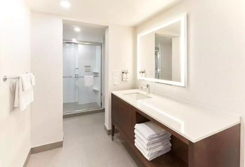 酒店 Holiday Inn & Suites Ottawa Kanata, An Ihg