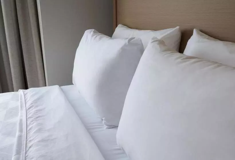 酒店 Holiday Inn & Suites Ottawa Kanata, An Ihg