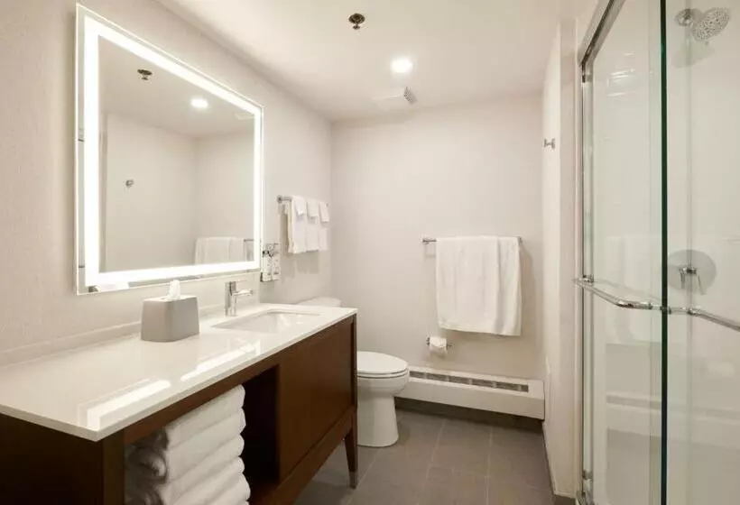 酒店 Holiday Inn & Suites Ottawa Kanata, An Ihg