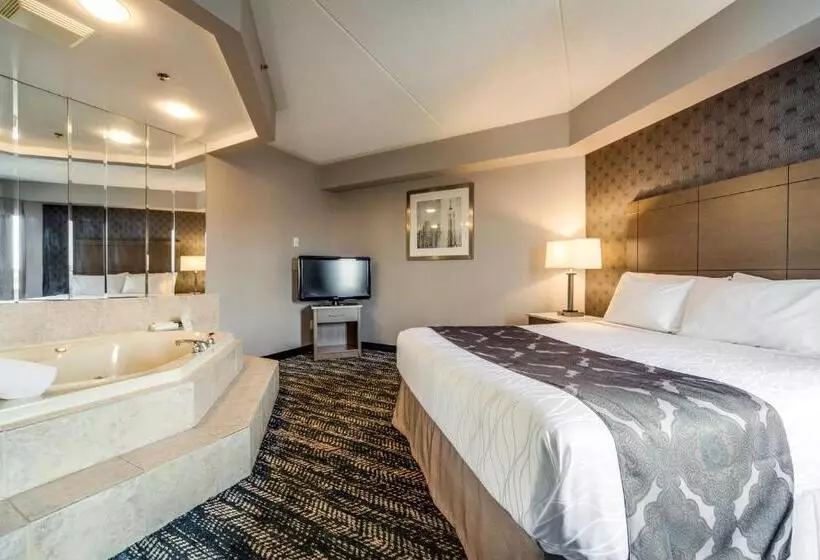 هتل Monte Carlo Inn Brampton