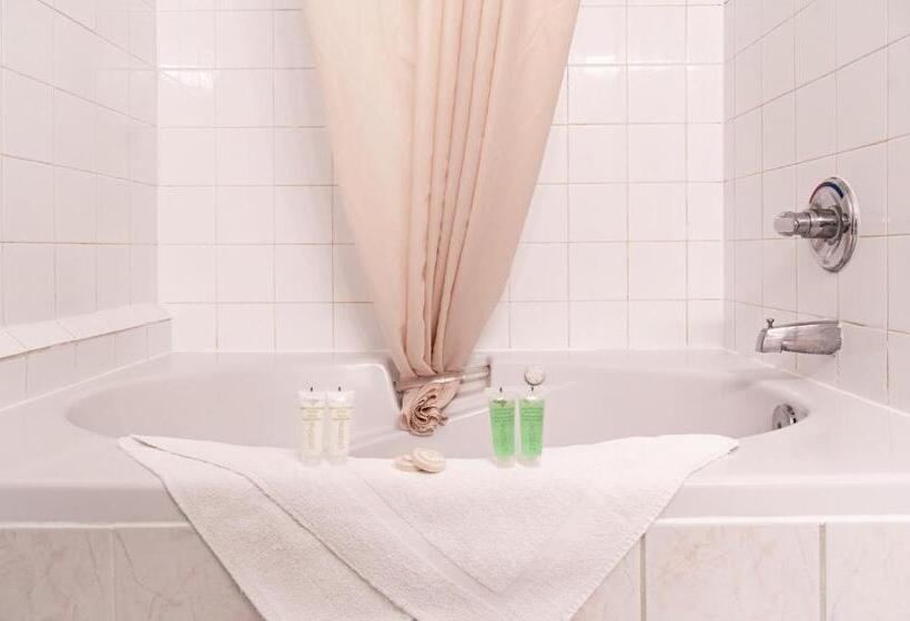 Hotel Mountain View Inn