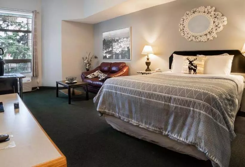 בית מלון כפרי Mountain View Inn