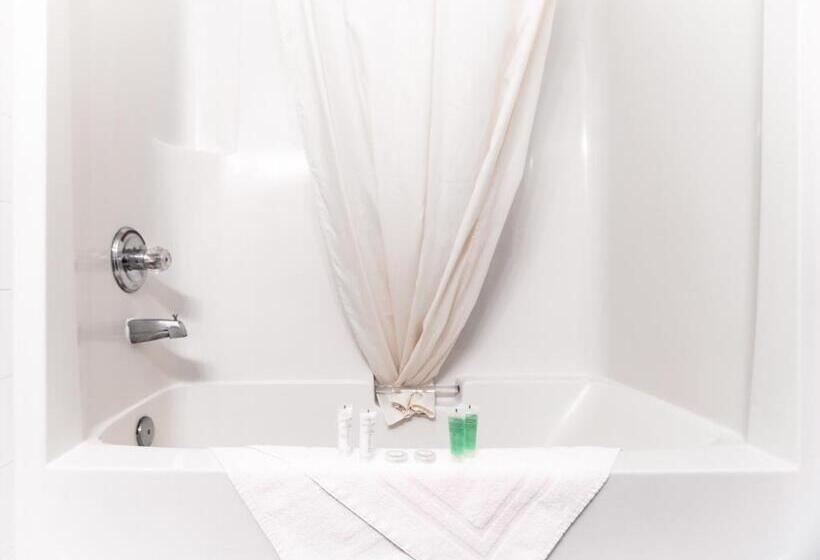 Hotel Mountain View Inn