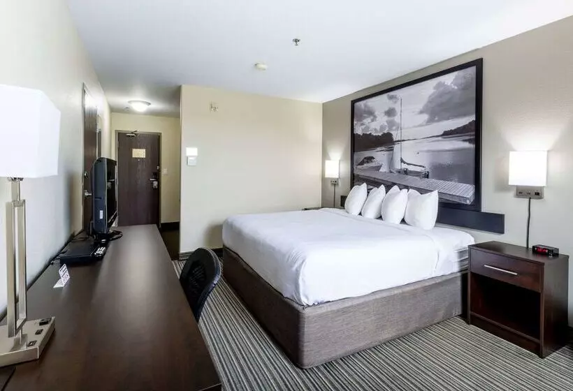 ホテル Super 8 By Wyndham Truro Ns