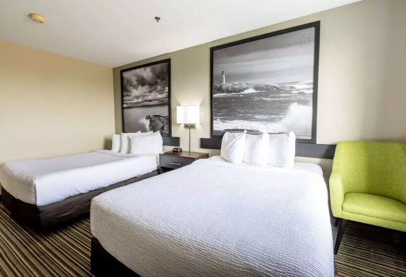 ホテル Super 8 By Wyndham Truro Ns