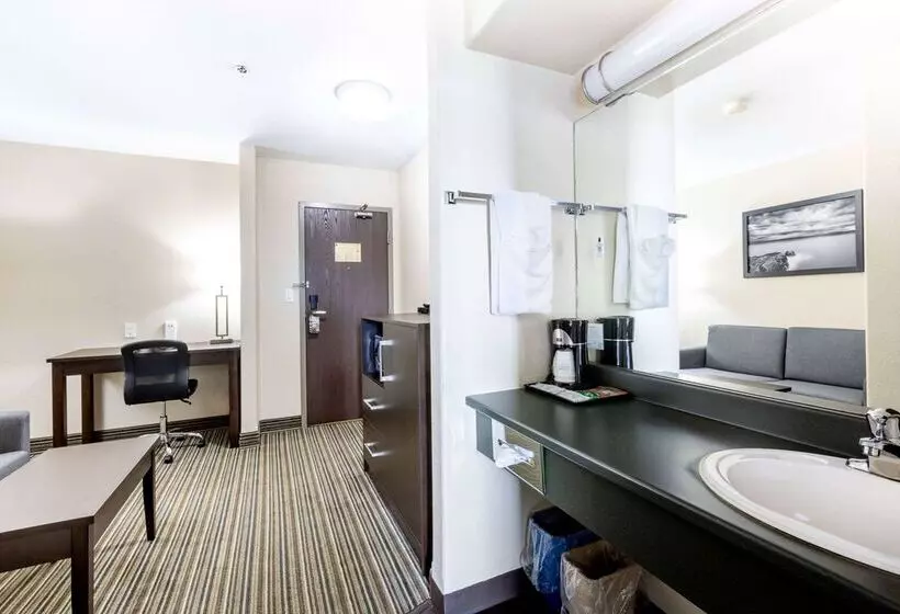 ホテル Super 8 By Wyndham Truro Ns