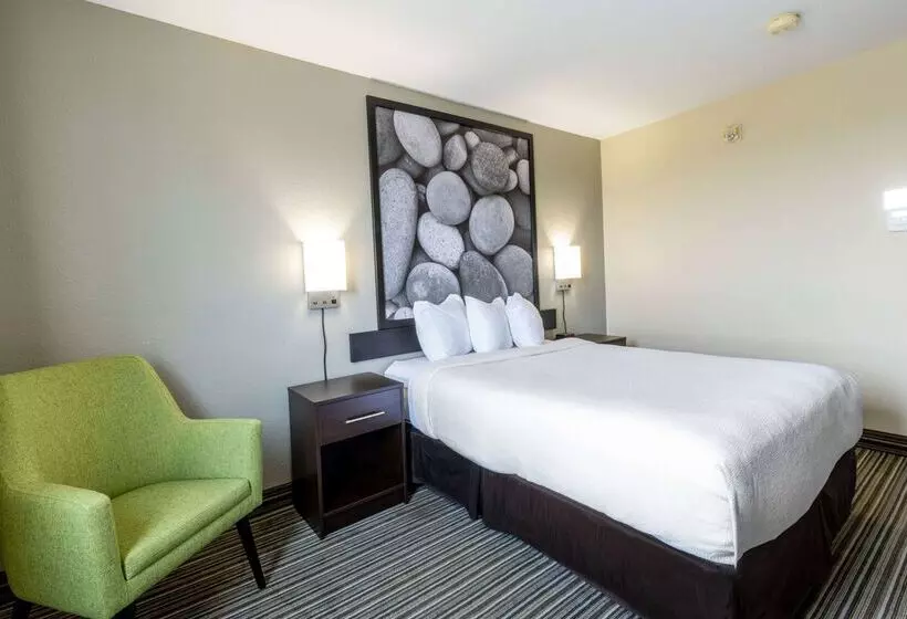 ホテル Super 8 By Wyndham Truro Ns