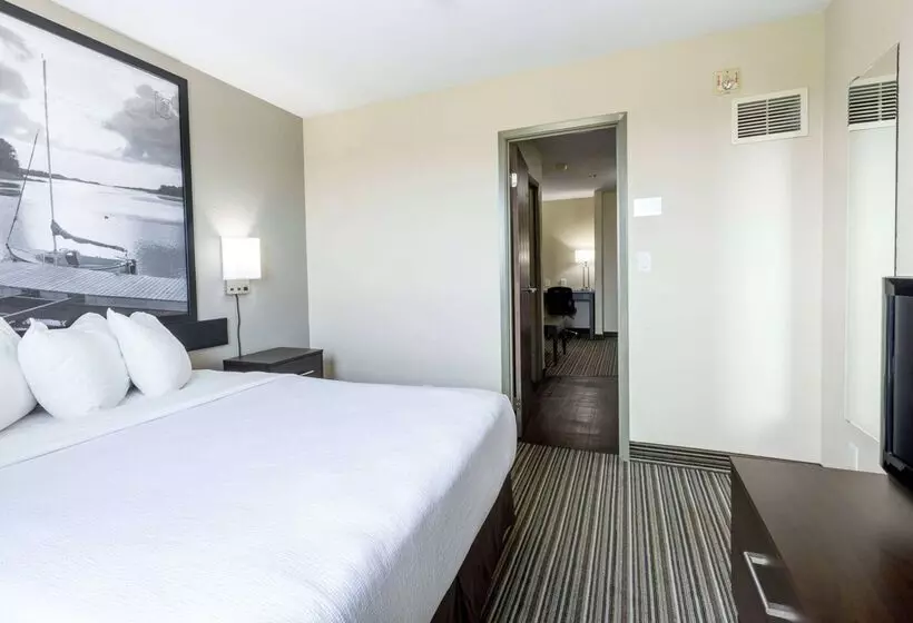 ホテル Super 8 By Wyndham Truro Ns