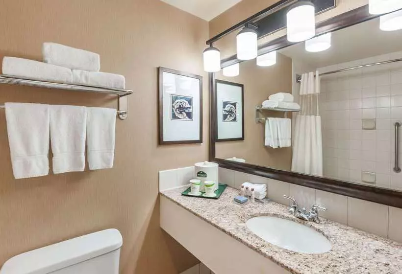 Отель Wingate By Wyndham Edmonton West