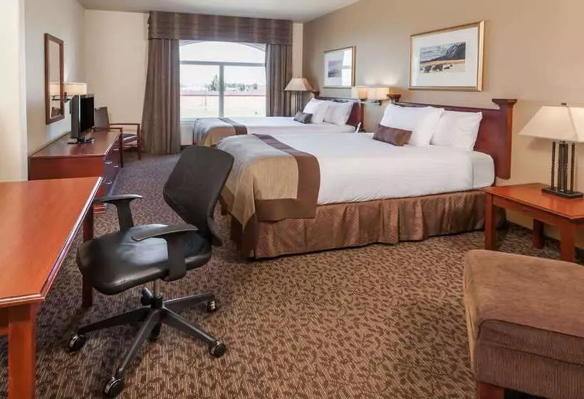 Отель Wingate By Wyndham Edmonton West