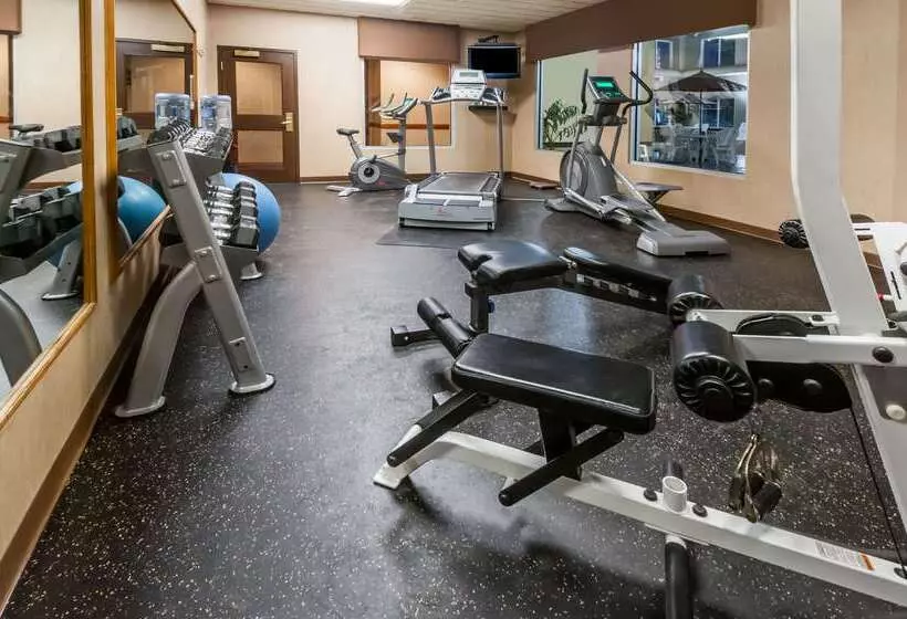 Отель Wingate By Wyndham Edmonton West