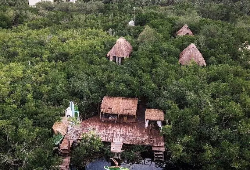 Manglex Eco Hotel Tulum