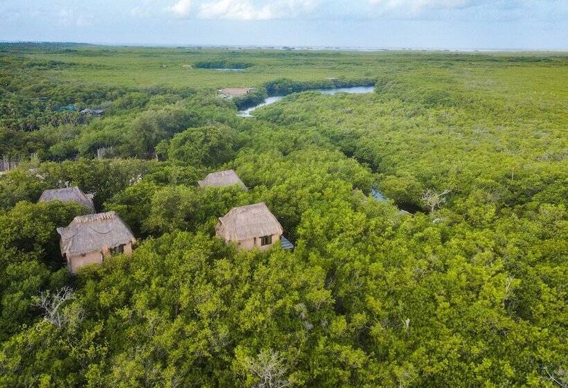 Manglex Eco Hotel Tulum