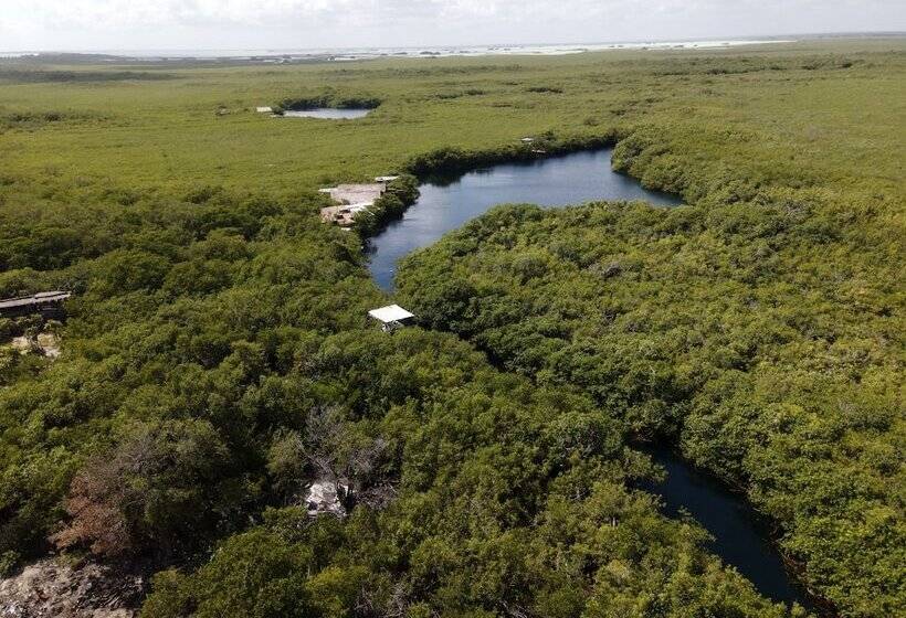 Manglex Eco Hotel Tulum
