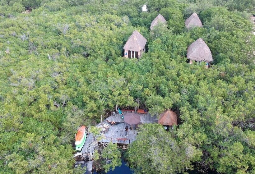 Manglex Eco Hotel Tulum