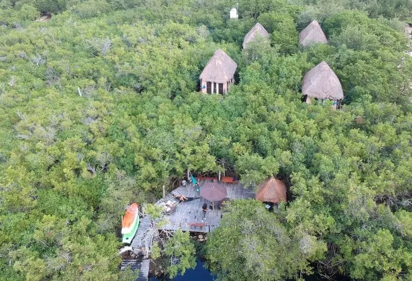 Manglex Eco Hotel Tulum