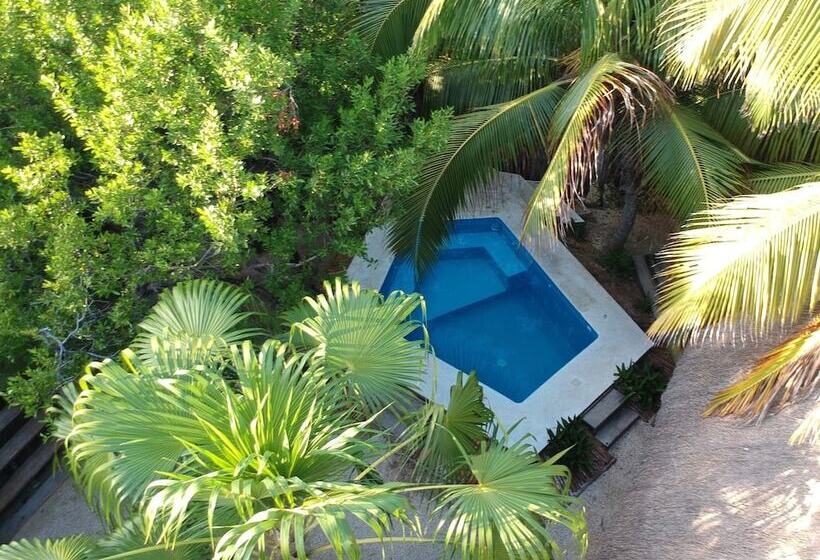 Manglex Eco Hotel Tulum