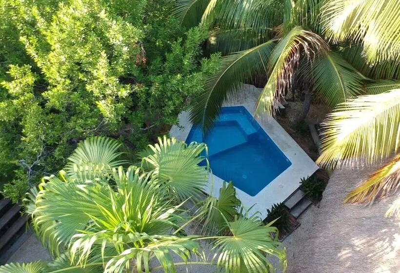 Manglex Eco Hotel Tulum