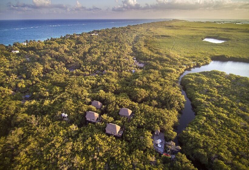 Manglex Eco Hotel Tulum