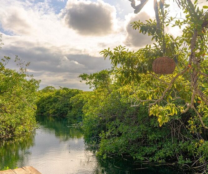 Manglex Eco Hotel Tulum