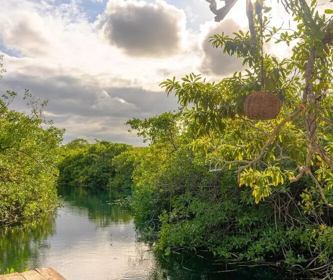 Manglex Eco Hotel Tulum