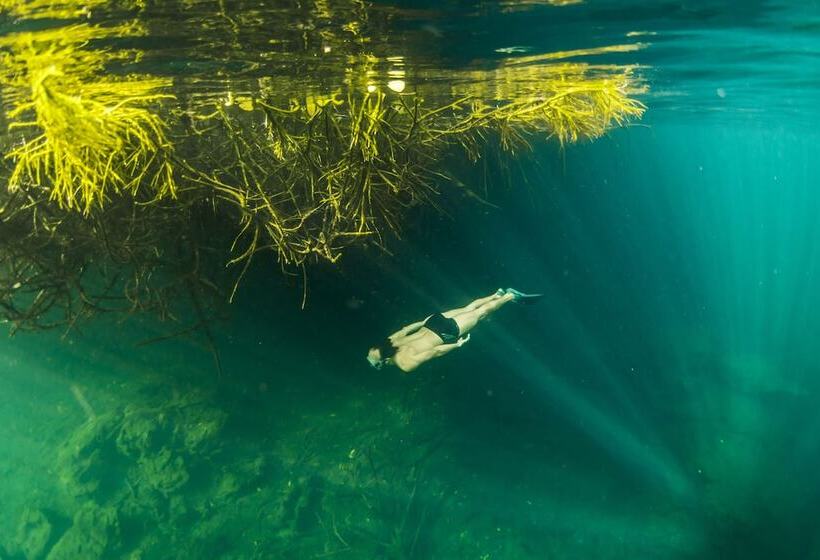 Manglex Eco Hotel Tulum