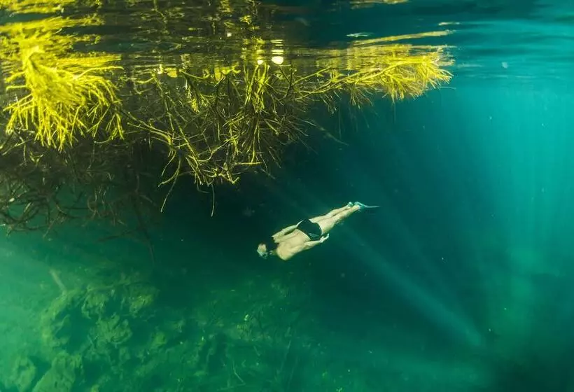 Manglex Eco Hotel Tulum