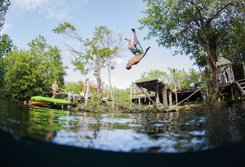 Manglex Eco Hotel Tulum