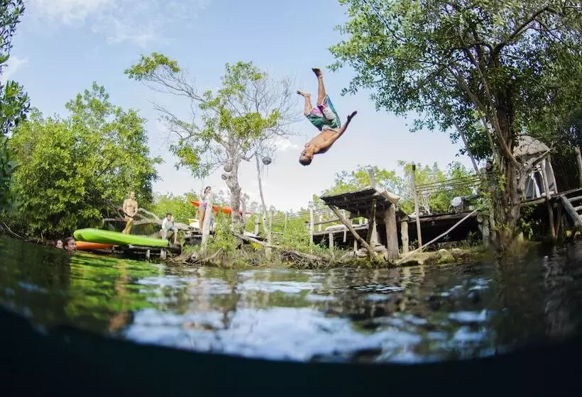Manglex Eco Hotel Tulum