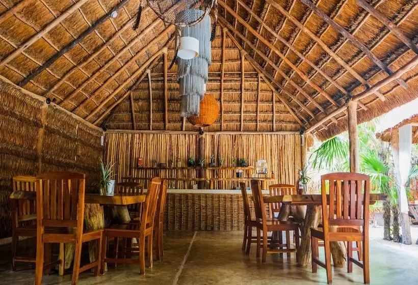 Manglex Eco Hotel Tulum