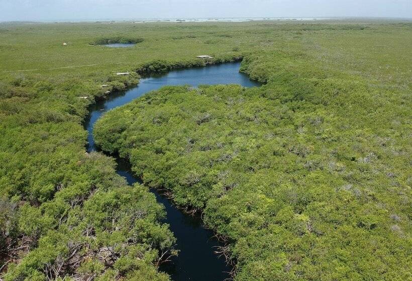 Manglex Eco Hotel Tulum