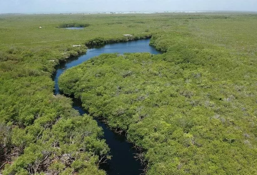 Manglex Eco Hotel Tulum