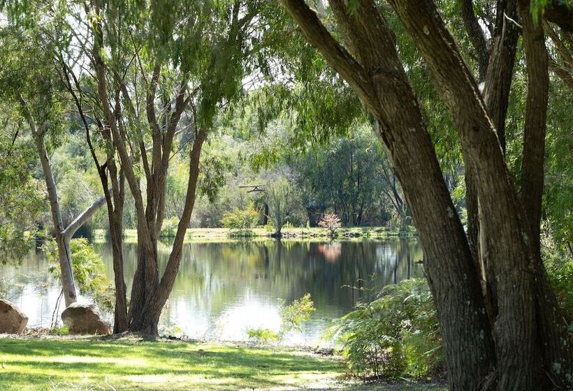 Forest Rise Chalets And Lodge