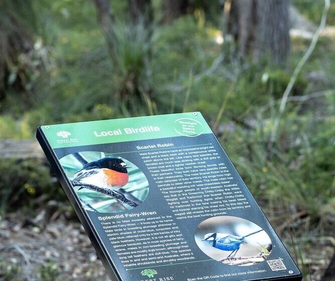 Forest Rise Chalets And Lodge