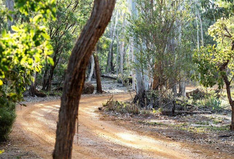 Forest Rise Chalets And Lodge