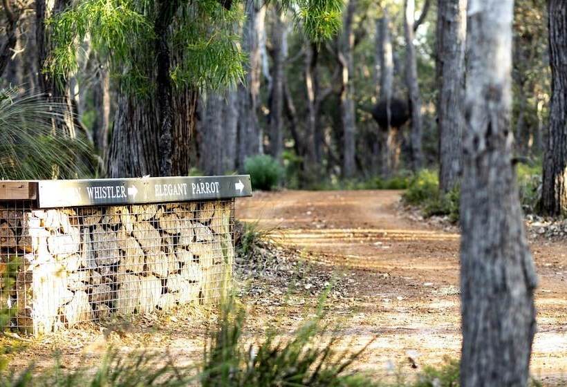 Forest Rise Chalets And Lodge
