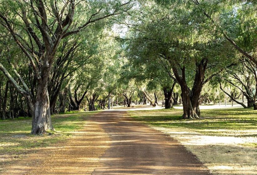 Forest Rise Chalets And Lodge