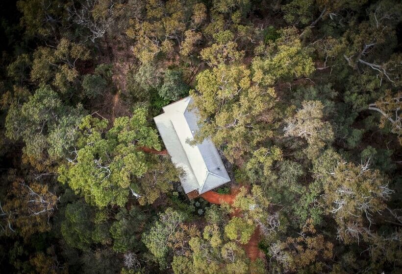 Forest Rise Chalets And Lodge