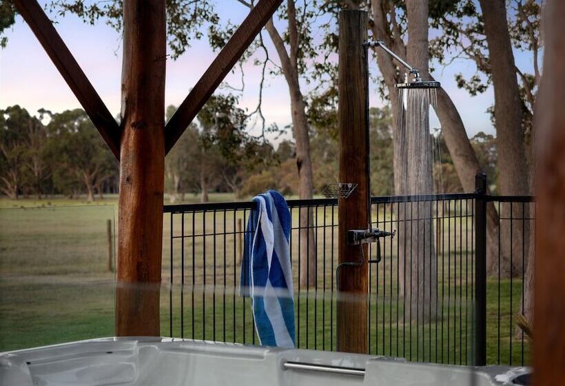 Forest Rise Chalets And Lodge