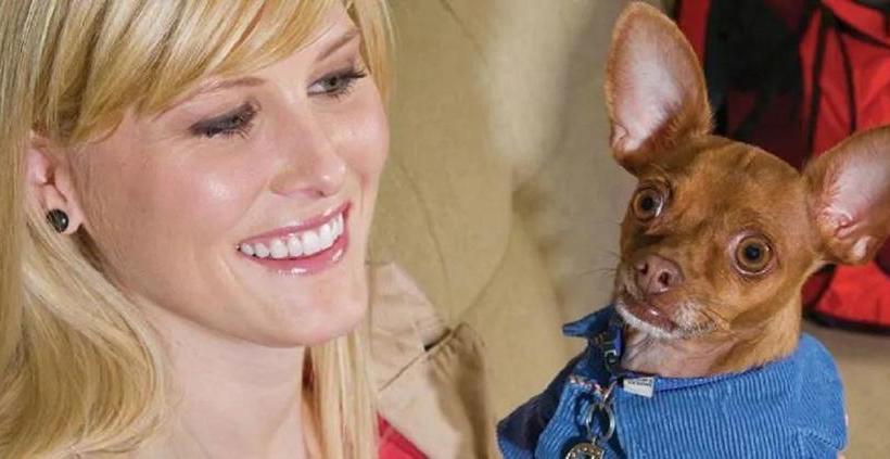 酒店 Home2 Suites By Hilton Ft. Lauderdale Downtown, Fl