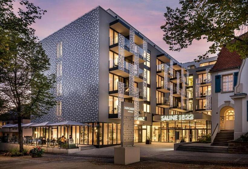 Отель Saline1822