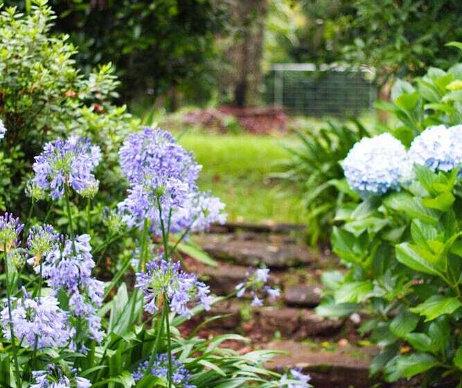 Mt Glorious Getaways