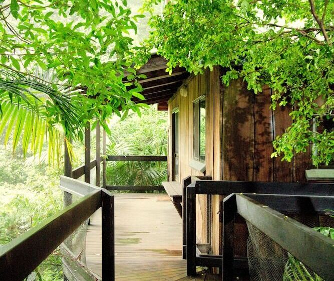 Mt Glorious Getaways