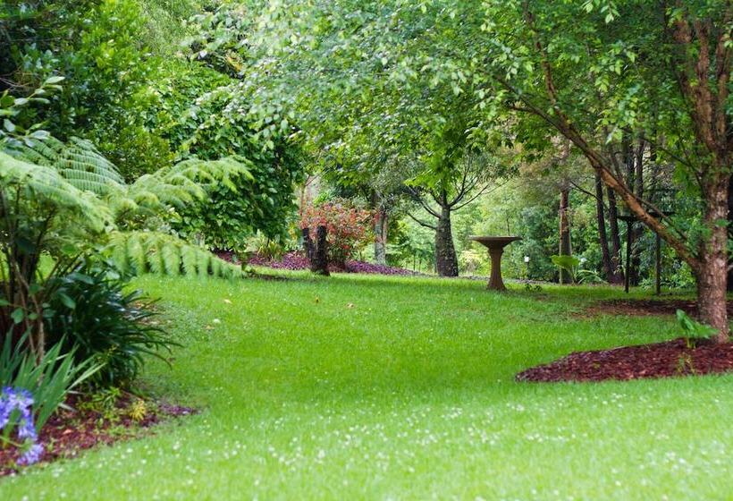 Mt Glorious Getaways