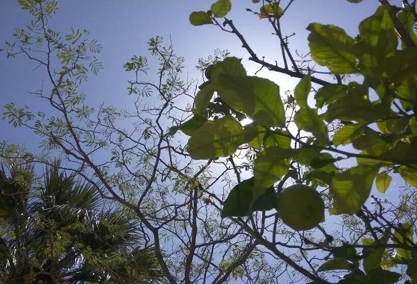 Artemis Comfort & Pleasure