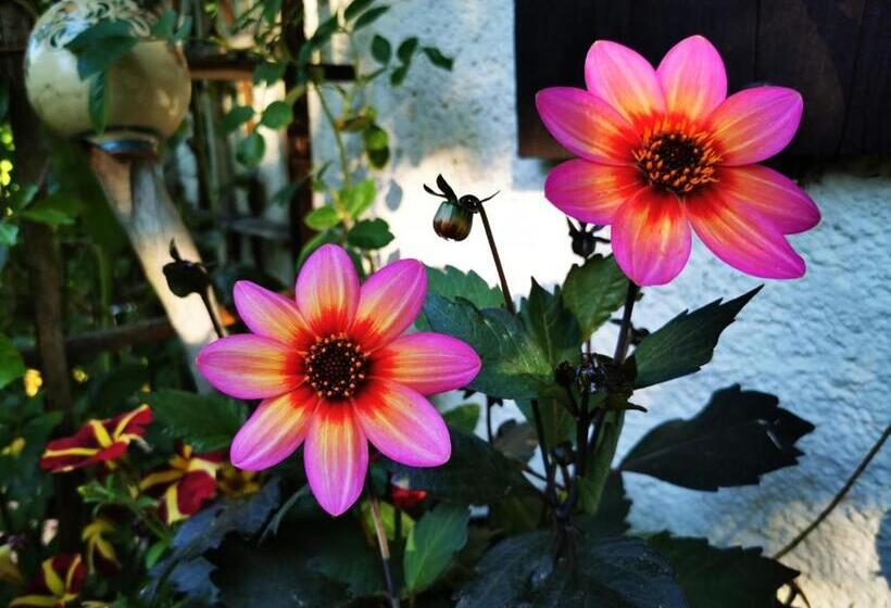 민박 Gästehaus Neu Am Passionstheater