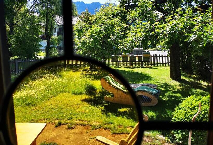 민박 Gästehaus Neu Am Passionstheater