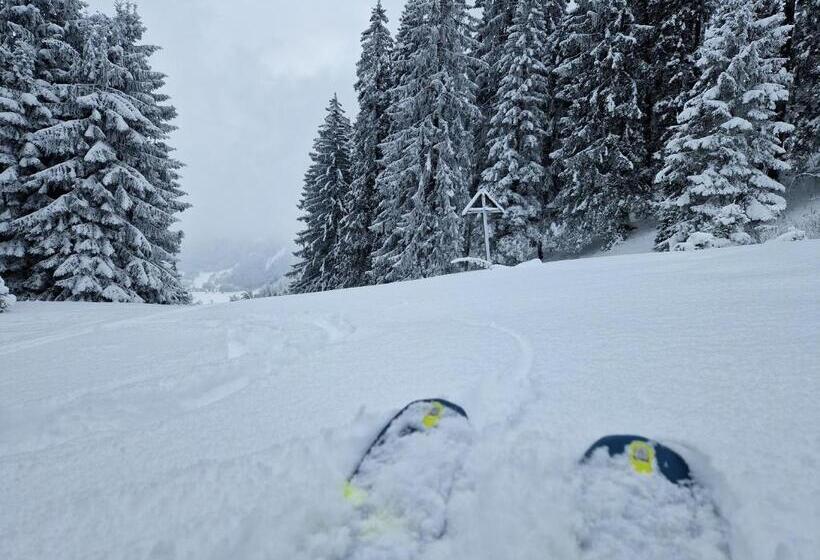 민박 Gästehaus Neu Am Passionstheater