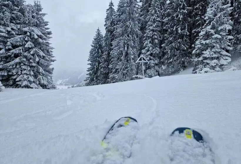 Aamiaismajoitus (B&B) Gästehaus Neu Am Passionstheater